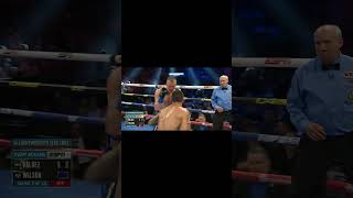 Oscar Valdez vs Liam Wilson  WBO Interim Junior Lightweight Title Fight Highlights [upl. by Amluz]