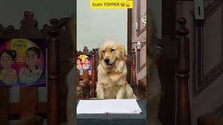 Ultimate TOPPER student🎓🤓😜💯funny shortsfeed youtubeshorts trending [upl. by Oremo]