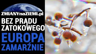 Jakie będą skutki załamanie Golfsztromu Co stanie się z Europą [upl. by Anais13]