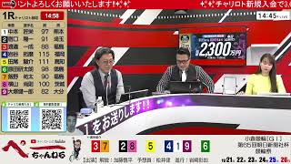 チャリロト公式Youtube 加藤慎平の「ぺーちゃんねる」Vol212 小倉競輪 第65回朝日新聞社杯 競輪祭ＧⅠ 1126（日）【決 勝】 小倉競輪 小倉競輪ライブ [upl. by Blakelee]