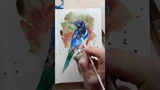 Magpie Ink and Watercolor Sketch [upl. by Irrep766]