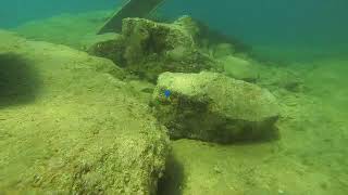 Chrysiptera hemicyanea in the Mediterranean Sea [upl. by Elawalo]