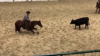 Beau Galyean and Rollz Royce  Brazos Bash 2018 Open Derby CoChampion [upl. by Marva76]