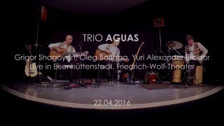 Trio AGUAS Live in Eisenhüttenstadt Friedrich Wolf Theater Sounds of Armenia  Shalakho [upl. by Ramak]