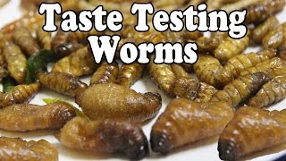 Taste Testing Worms at a Night Market in Thailand Eating Bugs [upl. by Darrow174]