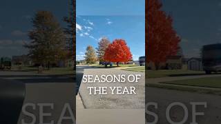 Estaciones Del Año En Inglés  Seasons Of The Year 💬 English englishvocabulary learnenglish [upl. by Marozik711]