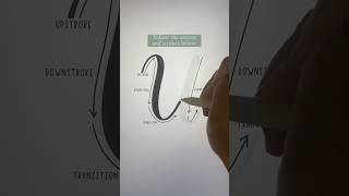 Easy way to letter U in calligraphy calligraphyforbeginners handlettering calligraphy [upl. by Atims]