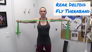 Rear Deltoid Theraband Fly  Shoulder Stabilization  Ask Dr Abelson [upl. by Kata]