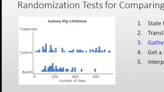 Randomization Test for Comparing Two Means [upl. by Smalley607]