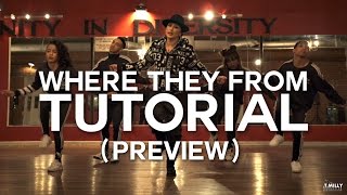 Tutorial PREVIEW Missy Elliott  WTF Where They From TriciaMiranda Choreography [upl. by Saitam288]