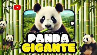 Panda Gigante Fatos Surpreendentes Sobre o Animal Mais Fofo do Mundo [upl. by Atiuqal557]