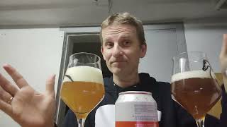 Danske øl 30  billige West Coast IPA Nørrebro Bryghus vs Anarkist i blindsmagning [upl. by Leval578]