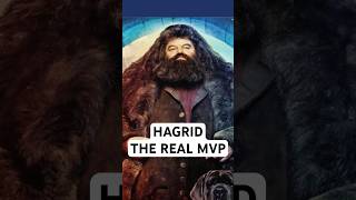 Hagrid The Unsung Hero of Hogwarts [upl. by Loutitia]