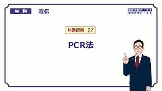 【高校生物】 遺伝17 PCR法（２０分） [upl. by Edalb657]