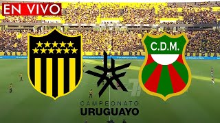 PEÑAROL VS DEPORTIVO MALDONADO EN VIVO [upl. by Tychon613]