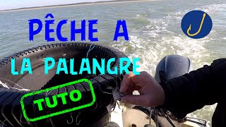 Tuto Essai PECHE A LA PALANGRE au BAR avec bac a palangre [upl. by Duj812]