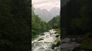 Bjørk Norway [upl. by Adrea]