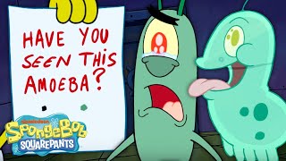 Plankton Loses His New Pet 😢  SpongeBob [upl. by Julis]