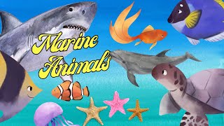 Animais marinhos  curiosidades e sons dos animais marinhos  Marine Animals [upl. by Anitsyrk625]