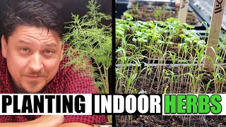 How to Grow Your Own EcoFriendly Herb Garden Indoors [upl. by Anastice797]