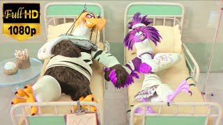 Angry birds movie 2 2019  Mighty eagle backstory scene HD 1080p [upl. by Lemmy623]