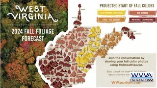 West Virginia Tourism releases fall foliage projection map [upl. by Okihsoy]