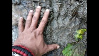 Chandrakhani Pass  Wild encounter during my Solo Trek [upl. by Arraeit]