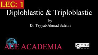 Diploblastic and Triploblastic  Chapter 10 Animalia Lec 1  Zoology  Biology  ACE Academia [upl. by Notsirk]