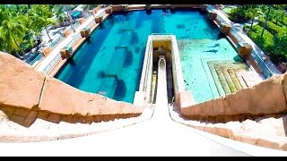 Leap of Faith  Water Slide  Atlantis Paradise Island Bahamas [upl. by Jannelle]