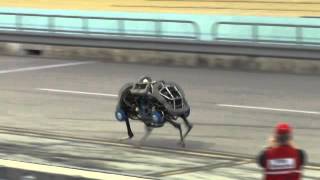 Darpa Robotics Challenge 2013 Boston Dynamic WildCat [upl. by Lexine]