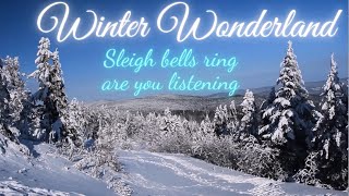 Winter Wonderland Sleigh bells ring are you listening Cover Christmas Song Sing Along Karaoke with L [upl. by Vudimir708]