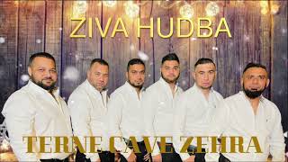 TERNE CAVE ZEHRA ZIVA HUDBA 2022 ANDRE SPITALA [upl. by Hooge]