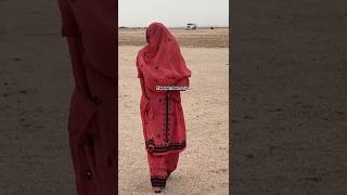 Baloch Girl new video  Wahab baloch new song  Balochi dresses beauty  Balochi new doch  pashk [upl. by Severin]