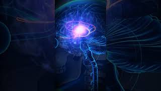 Calm Your Amygdala  Cure Anxiety Panic Attacks Naturally  Reverse Your Overactive Brain Amygdala [upl. by Niliram]