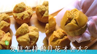 红糖发糕怎样做才会开口大笑？Dark Brown Sugar Fatt Koh【ENG SUB】 [upl. by Sigfried]