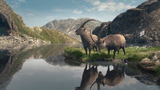 SteinbockSpot „Tomasee“ mit Gian und Giachen [upl. by Cirde409]