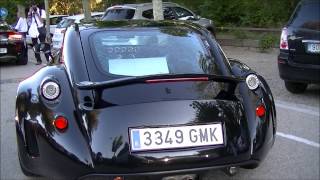 Wiesmann GT MF5 SOUND [upl. by Charron239]