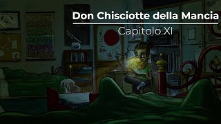 CAPITOLO 11  Don Chisciotte della Mancia [upl. by Agnesse]