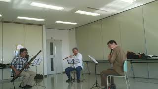 quantz trio sonata Cmoll 1movement [upl. by Sink]