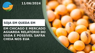 Soja em queda em Chicago aguardando relatório do USDA que pode confirmar safra cheia nos EUA [upl. by Kahn430]