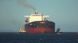 Ship Horn  Horn blast from bulk carrier ship 4K [upl. by Cung]