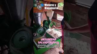 LOS MEJORES MOLINOS PARA LAS EMPRENDEDORAS SALVADOREÑAS 👩🏻‍🌾🇸🇻 elsalvador molinos agriculture [upl. by Enilrahc]