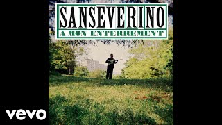 Sanseverino  À mon enterrement Audio [upl. by Miza]