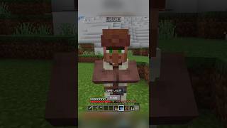 Minecraft Lapis Moment minecraft like subscribe 2024 [upl. by Eelannej]