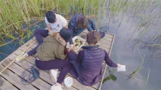 Field work at Slapton Sands  BSc Hons Biological Sciences [upl. by Letsyrk]