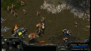 StarCraft Tutorial Zerg VS Terran 3Hatch Muta [upl. by Amikan9]