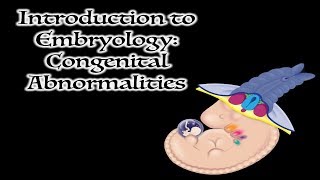 Congenital Abnormalities [upl. by Leahcimnaj]