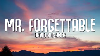 David Kushner  Mr Forgettable Lyrics quothello hello are you lonelyquot [upl. by Cini]