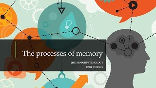 The Processes of Memory [upl. by Sateia]