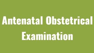 Antenatal assessment Abdominal Examination And Palpation OBG  Nursing Procedure [upl. by Mala]